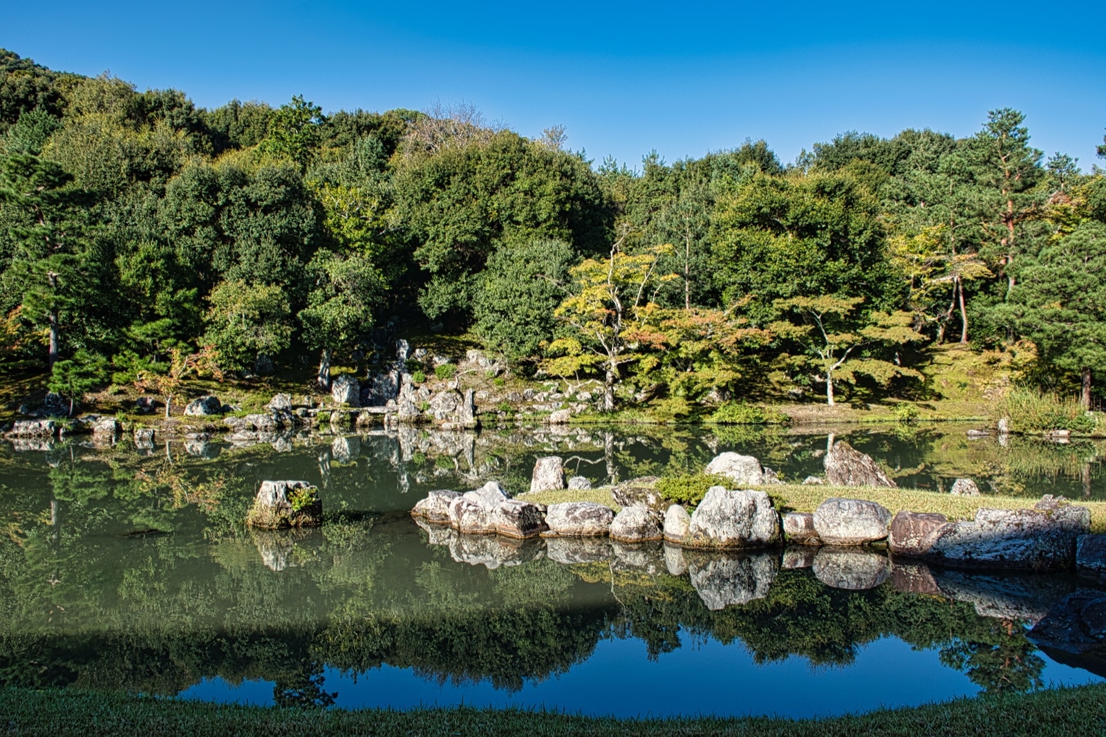 Giardino giapponese con uno specchio d'acqua, rocce e alberi verdi che si riflettono sotto il cielo azzurro